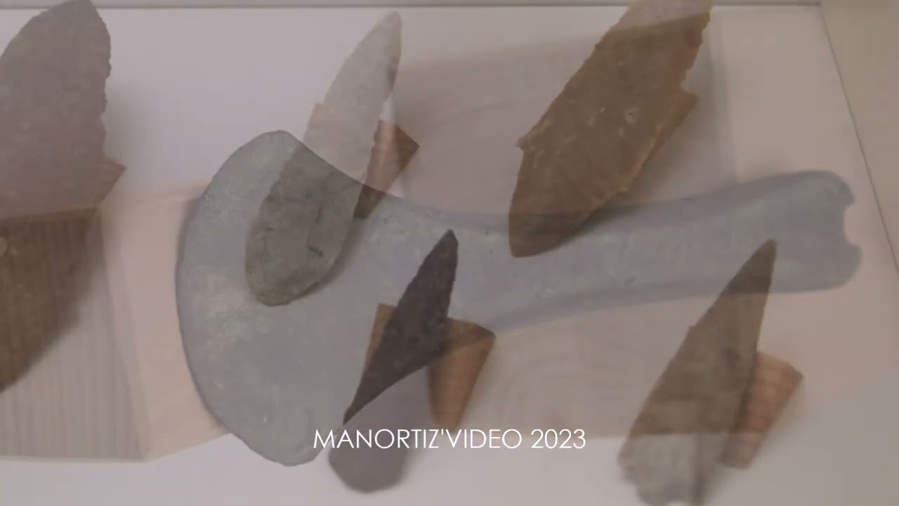 Reperti archeologici nel territorio marchigiano dal Paleolitico superiore all'Età del Bronzo