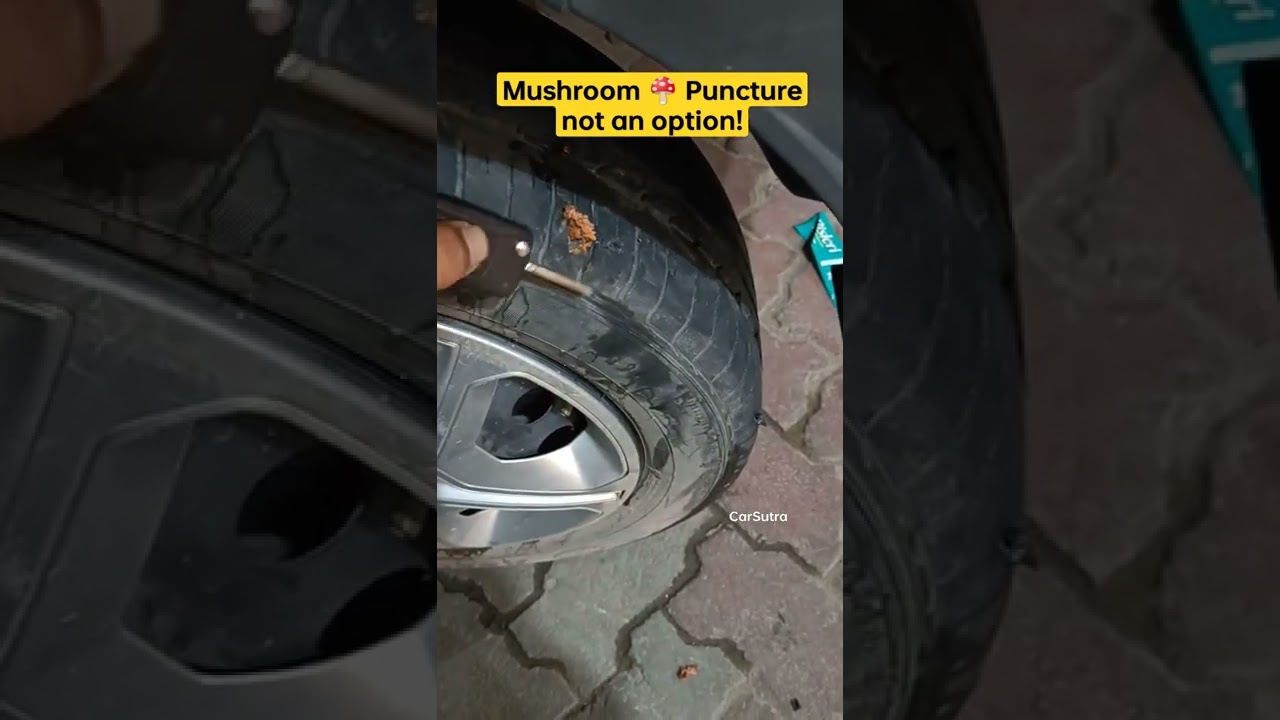 Mushroom 🍄 Puncture not an option! 