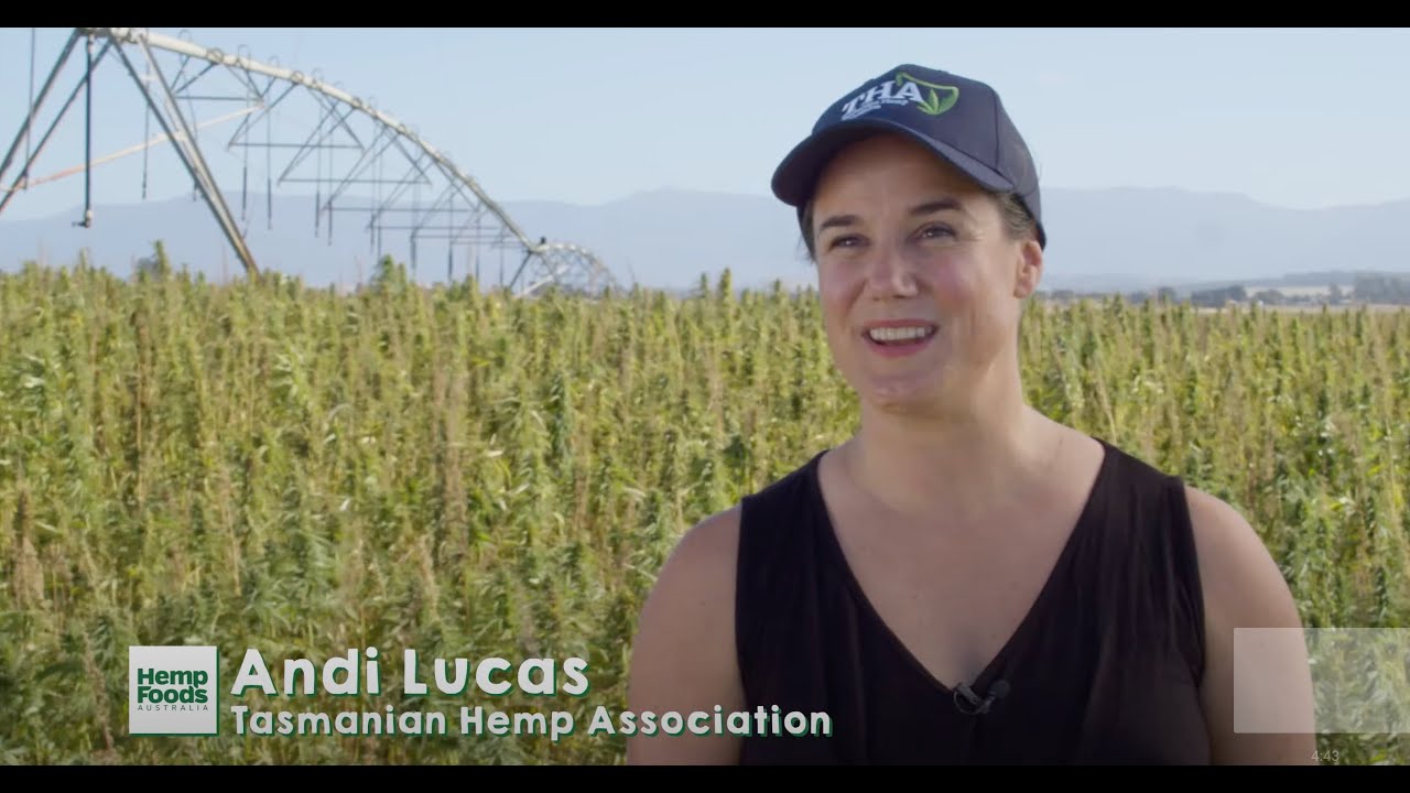 Hemp Farming   Tasmanian Hemp Association Andi Lucas   Industry