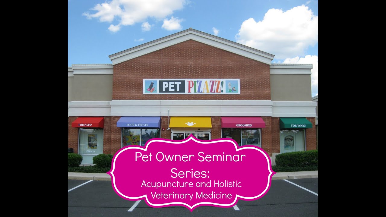 Pet Pizazz! Pet Seminar Series: Acupuncture and Holistic Veterinary Medicine