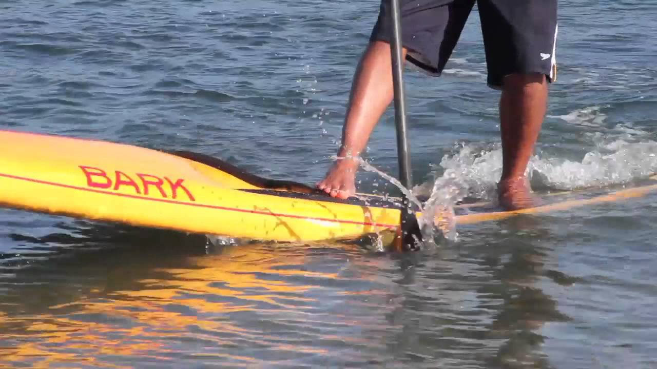 Bark Dominator Stand Up Paddle Board Surftech SUP