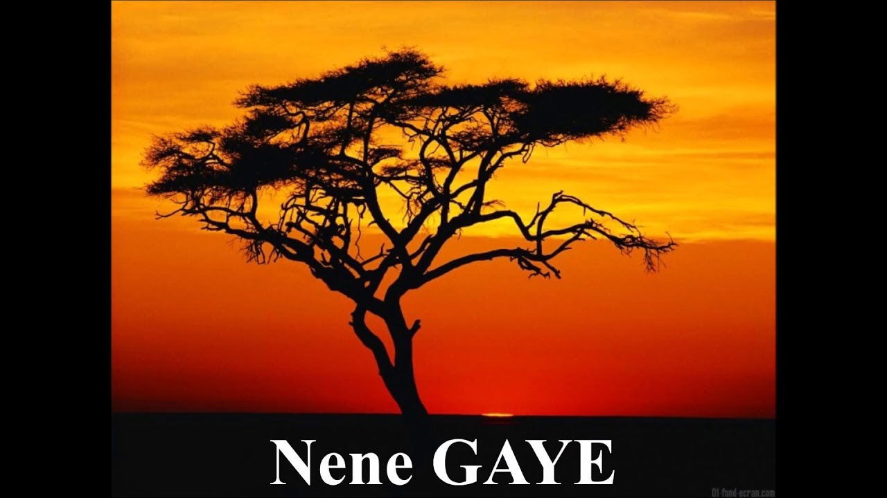 Nene GAYE