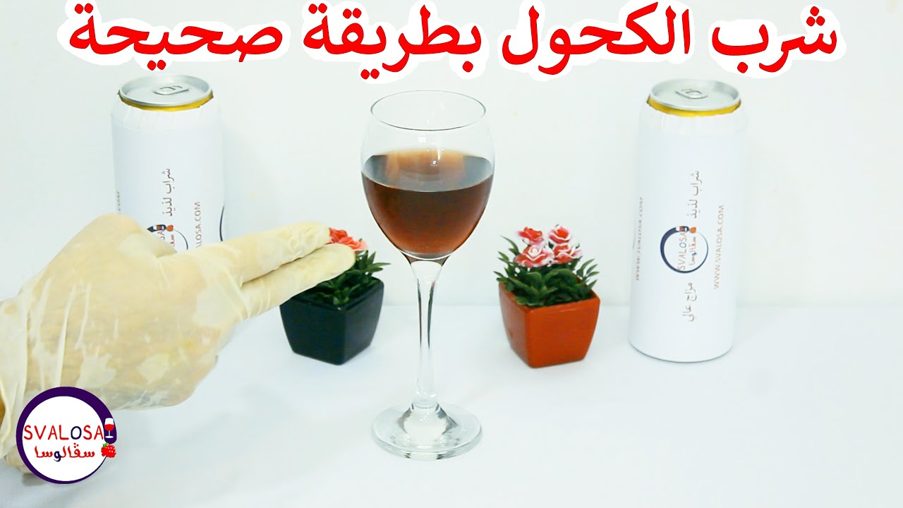 الطريقة الصحيحة لشرب المشروبات الكحولية | تجنب الهانغوفر