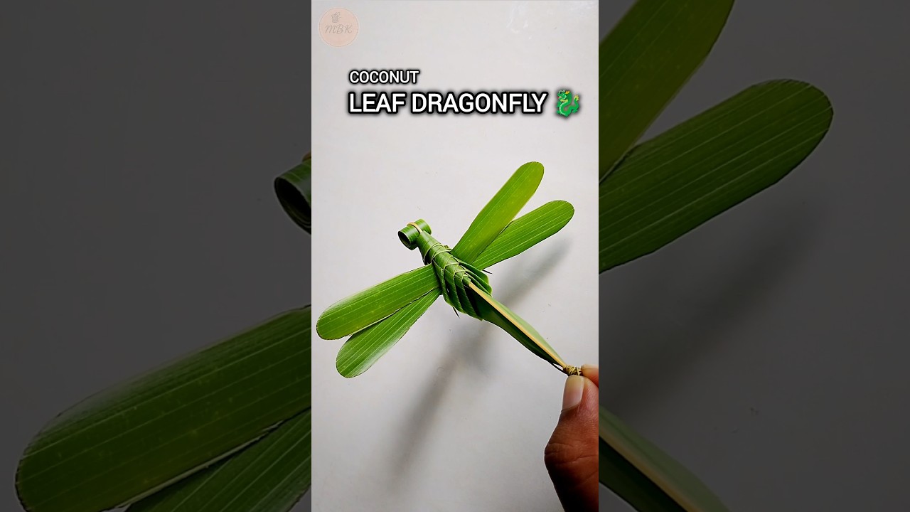 Coconut Leaf Dragonfly 🐉 | Simple & Beautiful Craft Idea #shorts