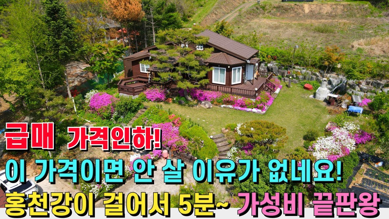 (급매) 홍천강이 걸어서 5분! 청정지역에 위치한 가성비 끝판왕! 이 가격이면 안 살 이유가 없네요! - 힐링하우스 TV (강원도 홍천군)