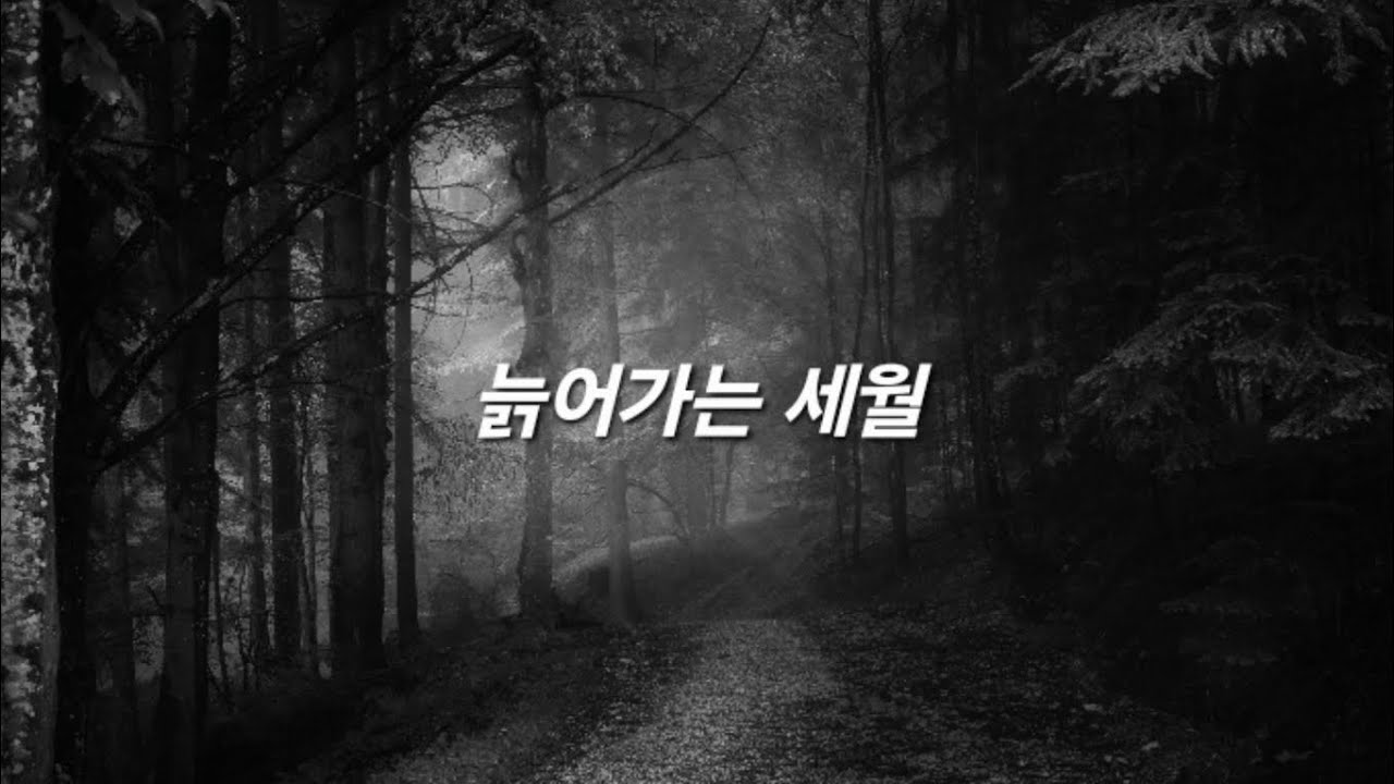 늙어가는 세월/the years of age