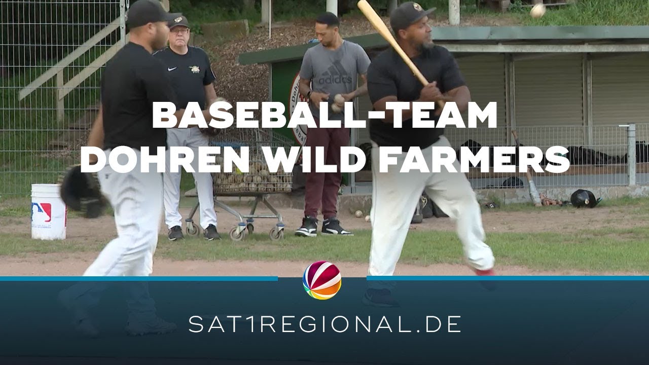 Baseball-Team Dohren Wild Farmers auf Erfolgskurs