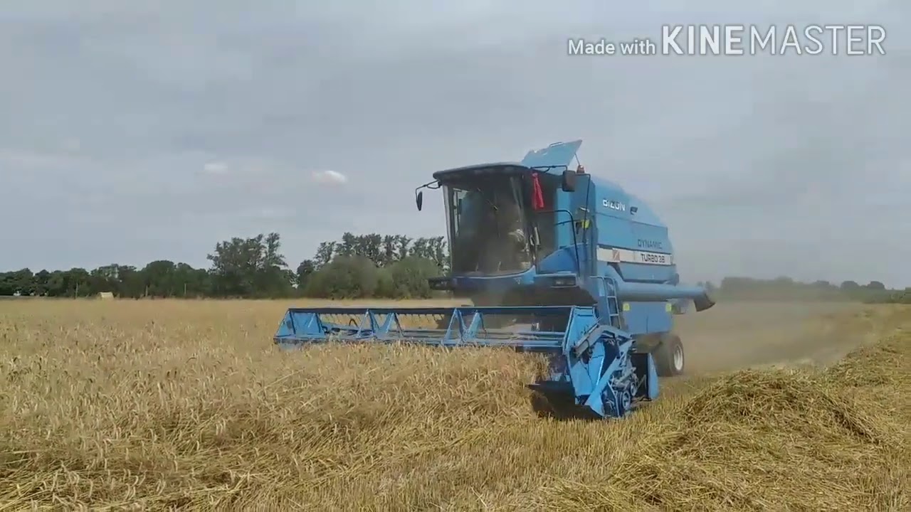 Bizon dynamic z115 turbo 3B żniwa 2020