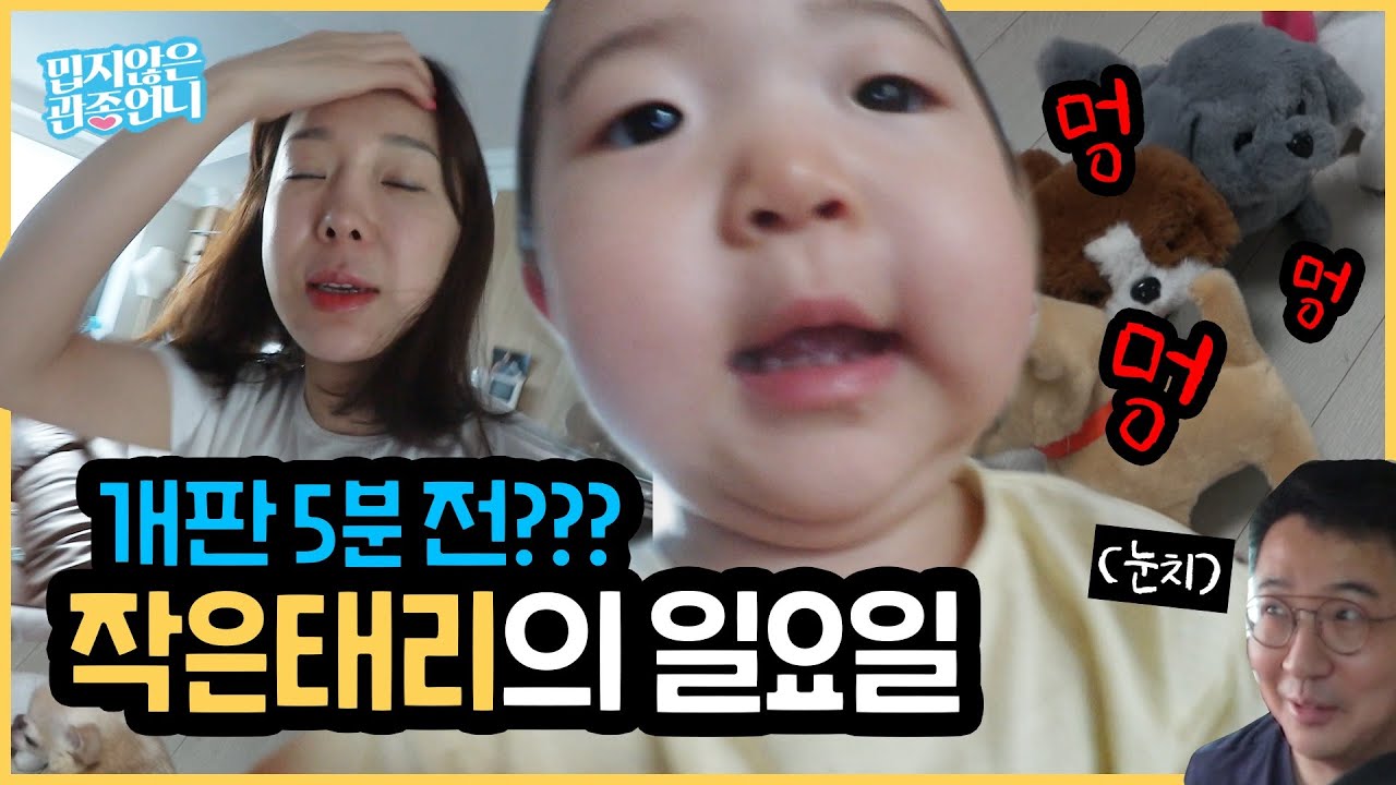 관종언니의 개판 VLOG! 작은태리를 위한 일요일 나들이 고고씽~!! (feat. 장안동 할머니네)