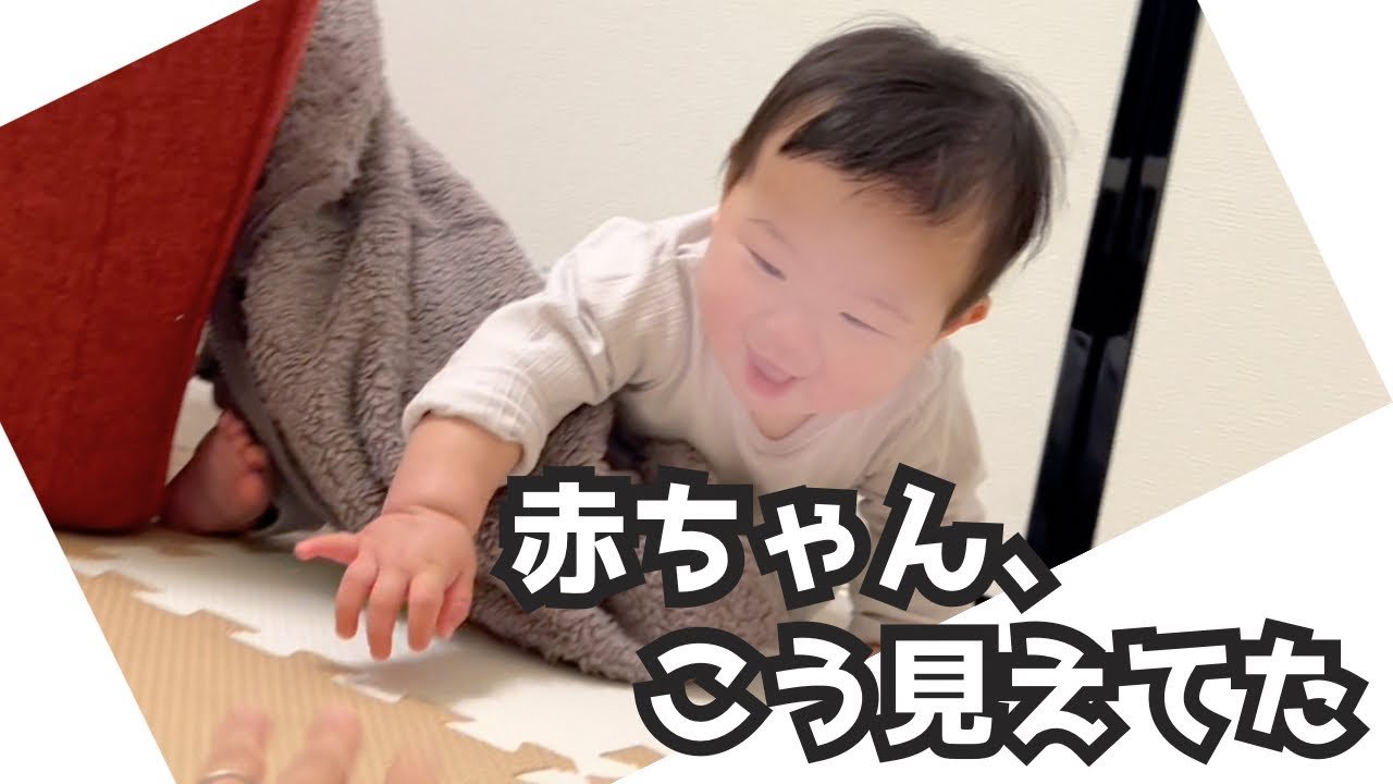 【赤ちゃん目線】落ち着きない理由、こう見えてた【８か月】