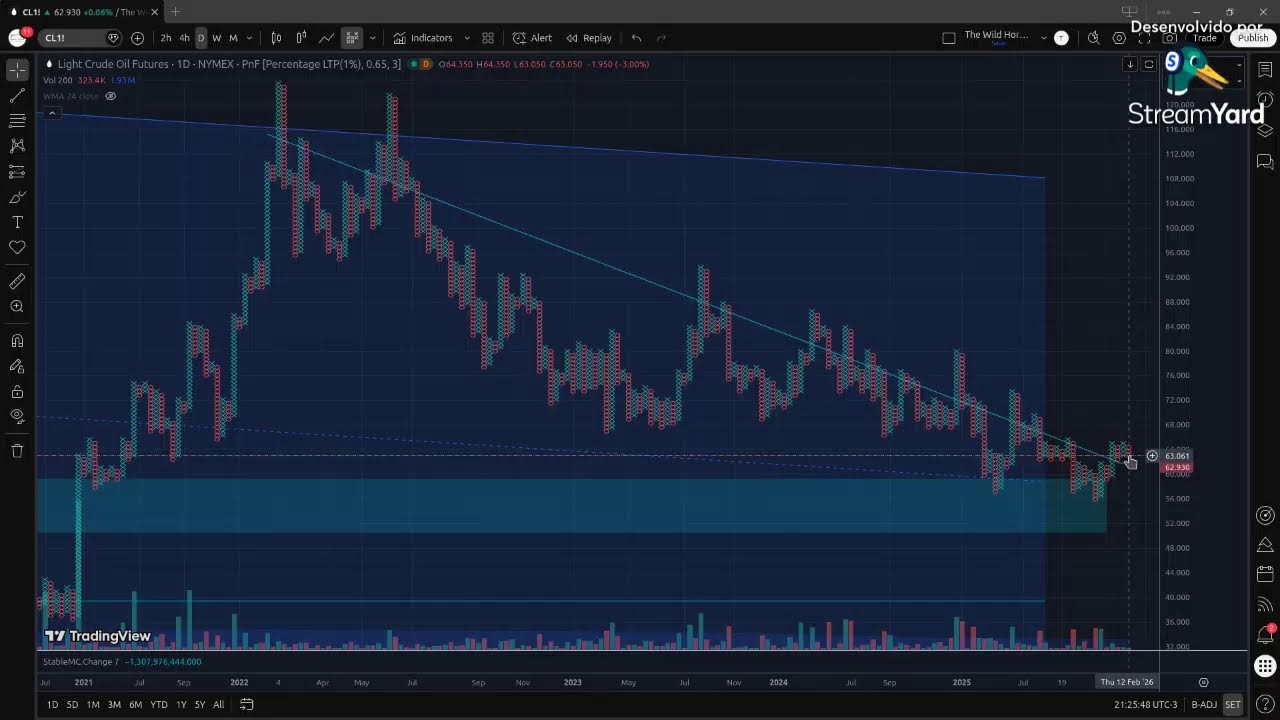 O primeiro bear market com as criptos. #BTC