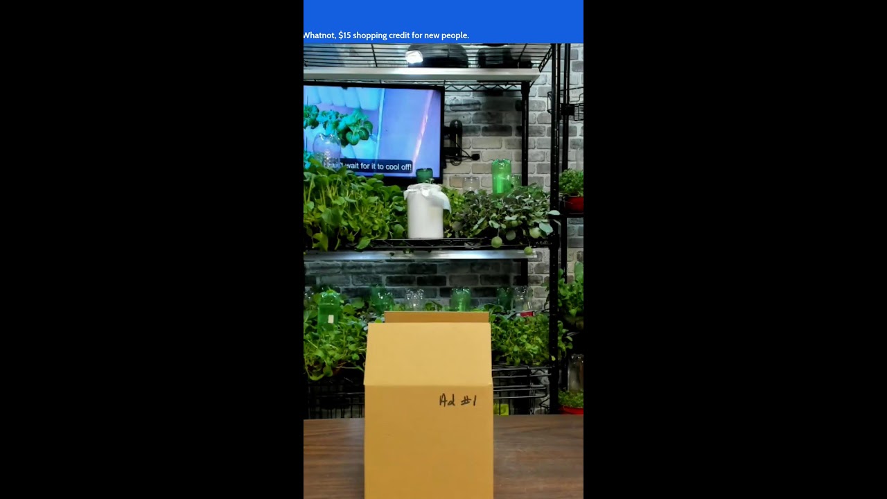 Why You Can't Garden, Let's Grow Food