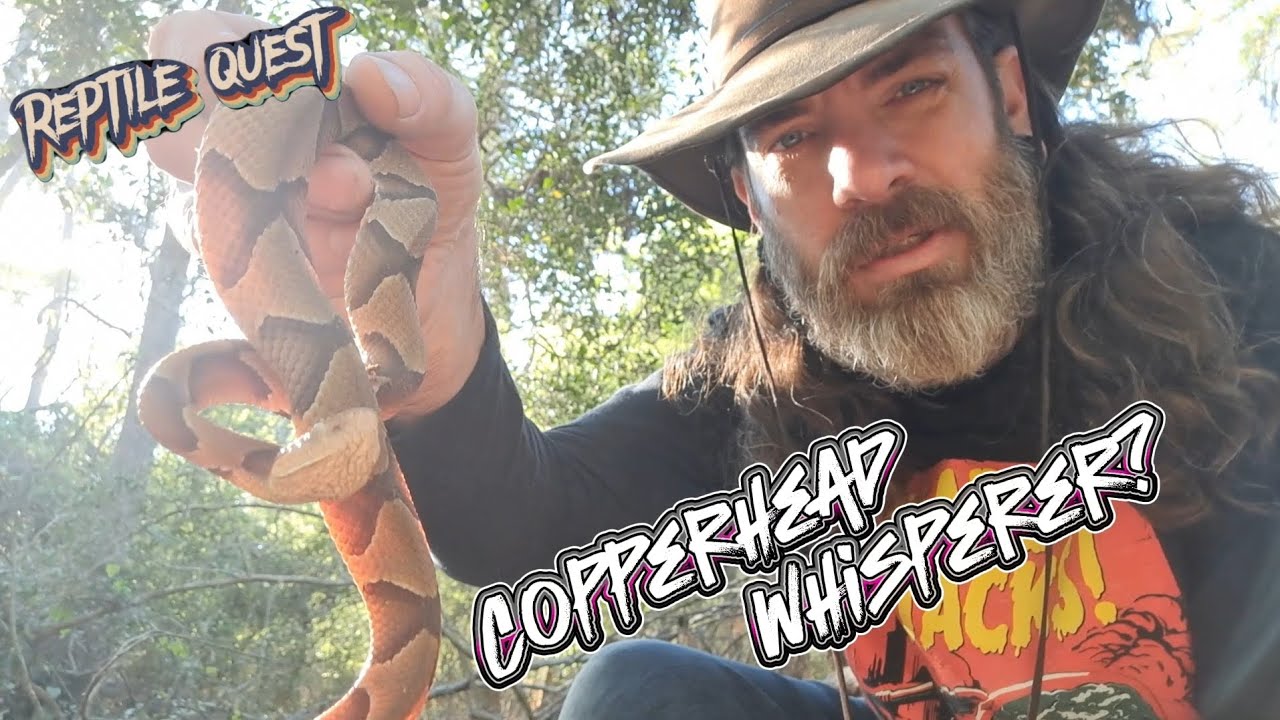 What wonders await in the forest today?