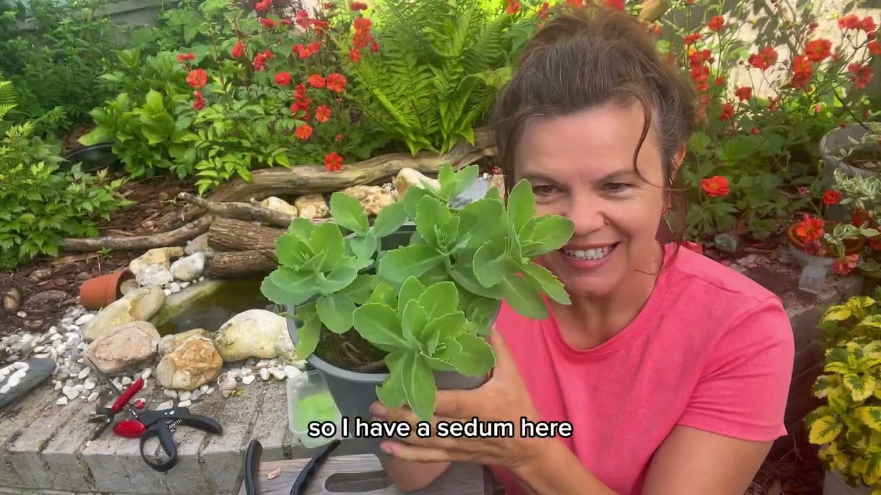 What is the Chelsea chop that gardeners talk about? Kate and RocketGro explain.