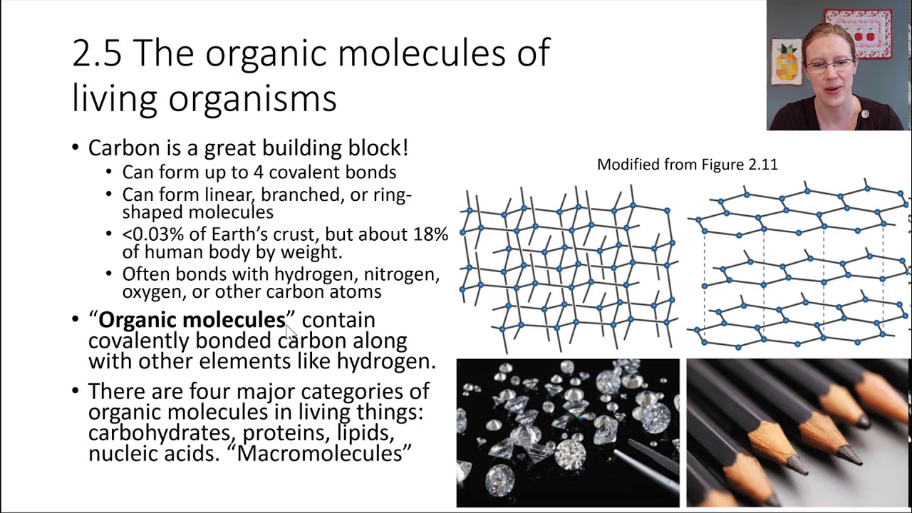 Ch02-5 Organic Molecules