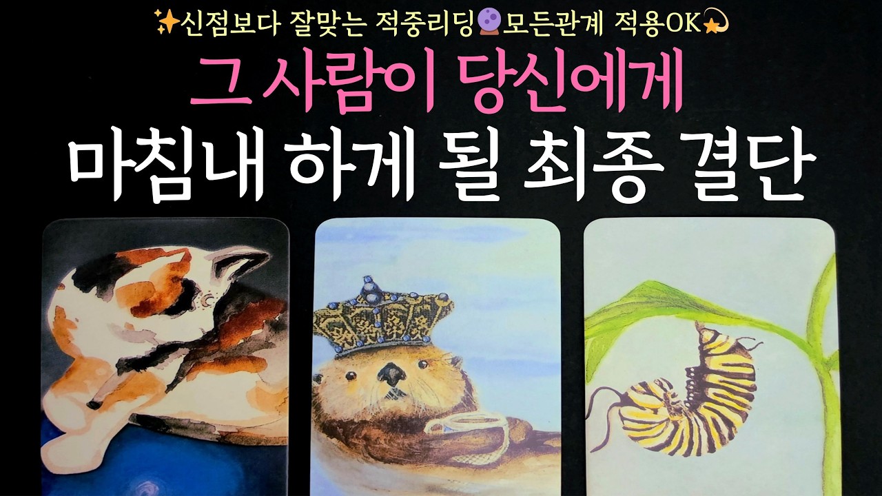 [타로] 