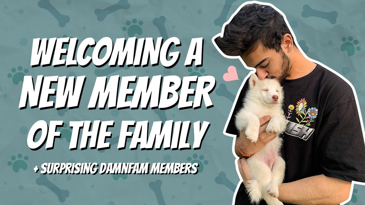WELCOMING A NEW MEMBER OF THE FAMILY | Surprising 