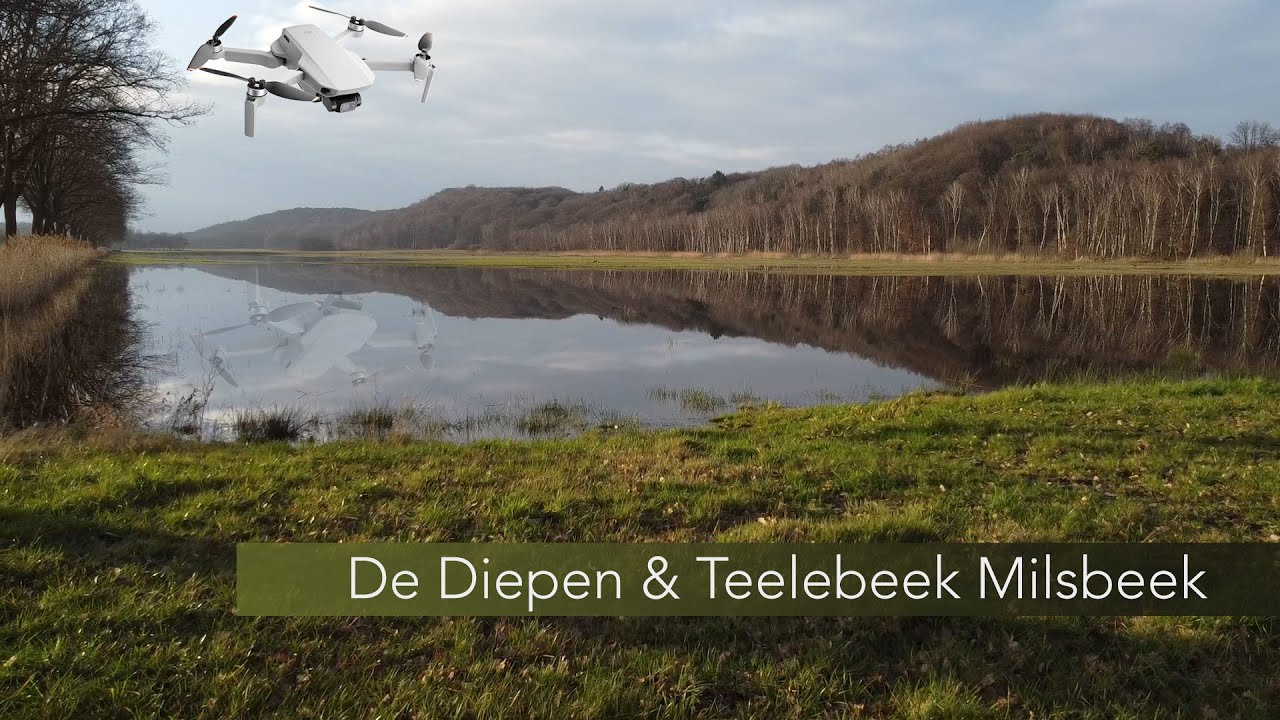 Natuurgebied De Diepen en Teelebeek (Tielebeek) in Milsbeek provincie Limburg | DJI mini 2