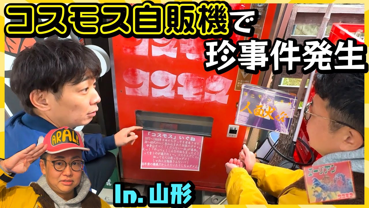 【山形レトロ】コスモス自販機を楽しんでいたら珍事件が発生しました【ガチャガチャ】