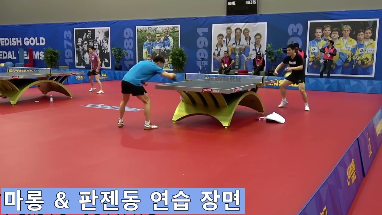 마롱(MA Long)과 판젠동(FAN Zhendong) 선수들의 연습 영상
