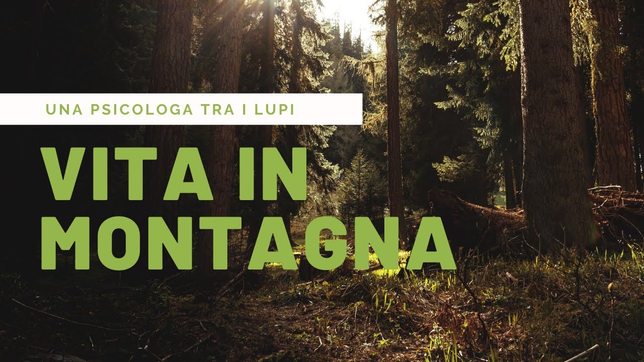 Vita in montagna!