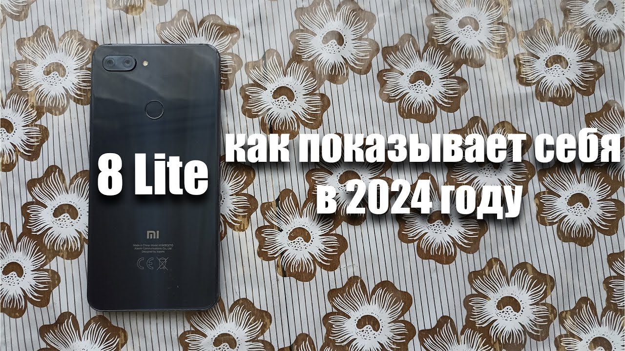 как показывает себя Xiaomi Mi 8 Lite в 2024 году?