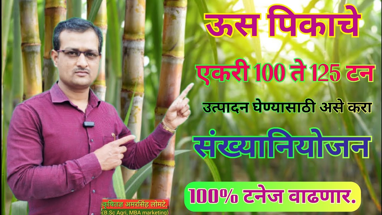 एकरी 100 ते 125 टन ऊस उत्पादन घेण्यासाठी असे करा संख्यानियोजन. 