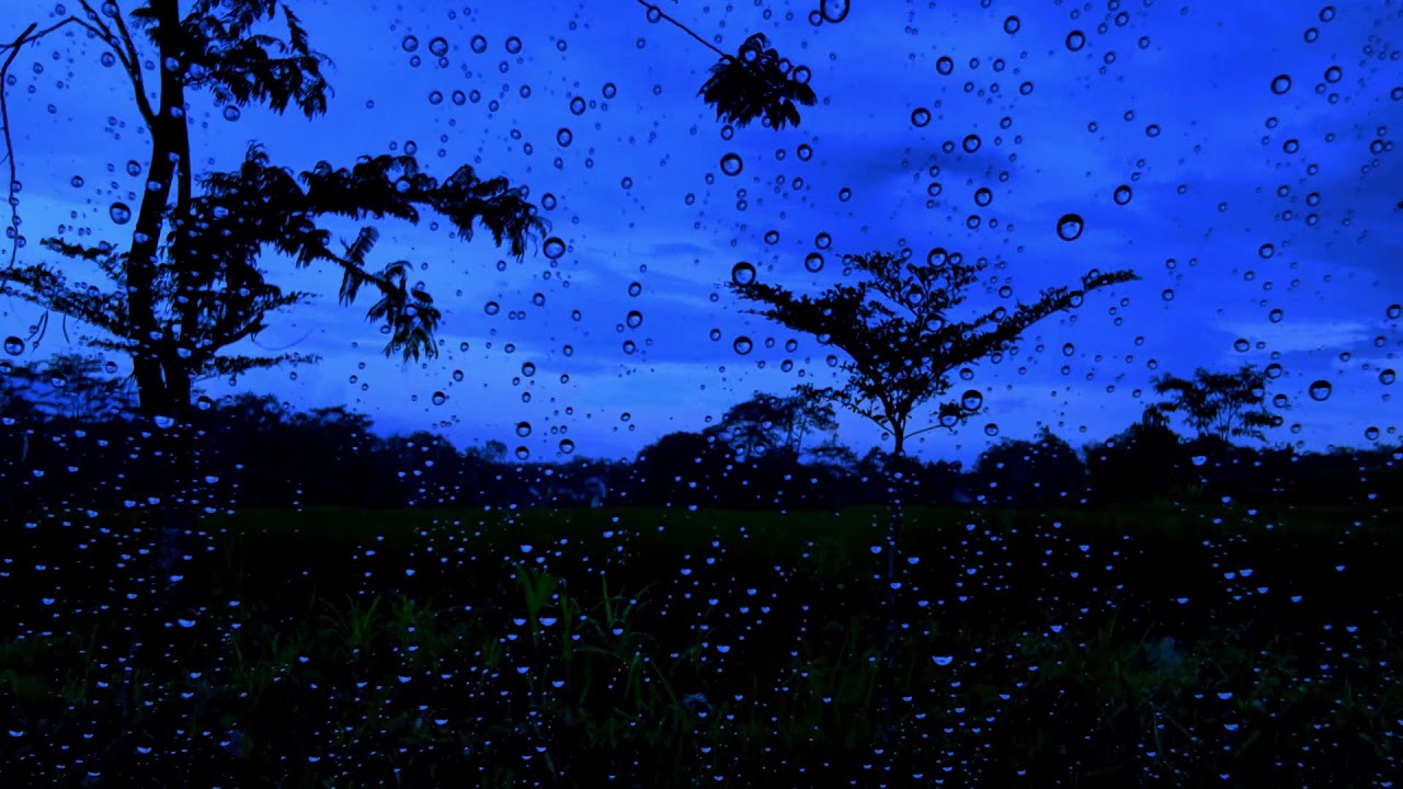Rain Sounds & Rain On Window with for Deep Sleep 🌩️ Calm Rain | Dark Screen Rain for Sleep, Study