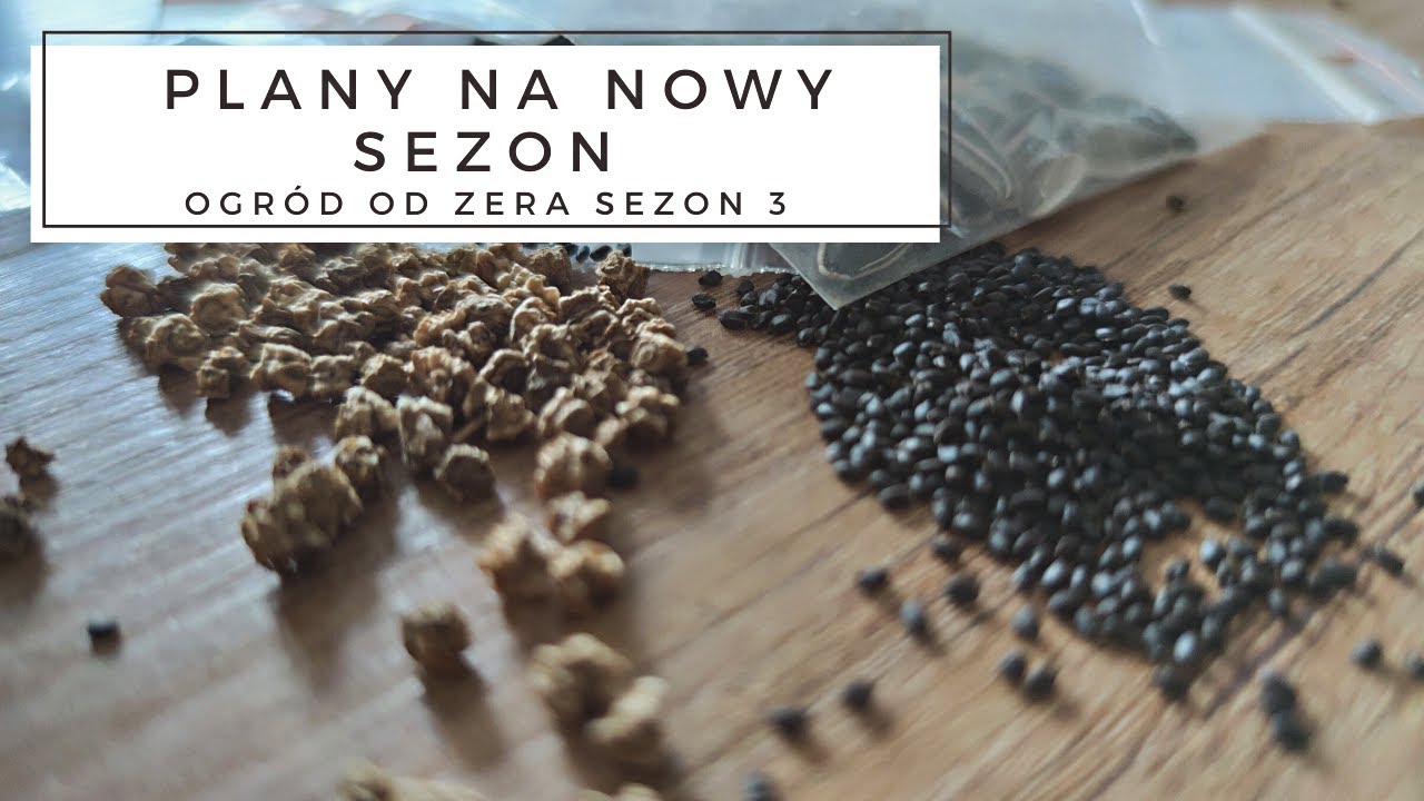 Ogrodowe plany na nowy sezon! [Ogród od zera s 03]