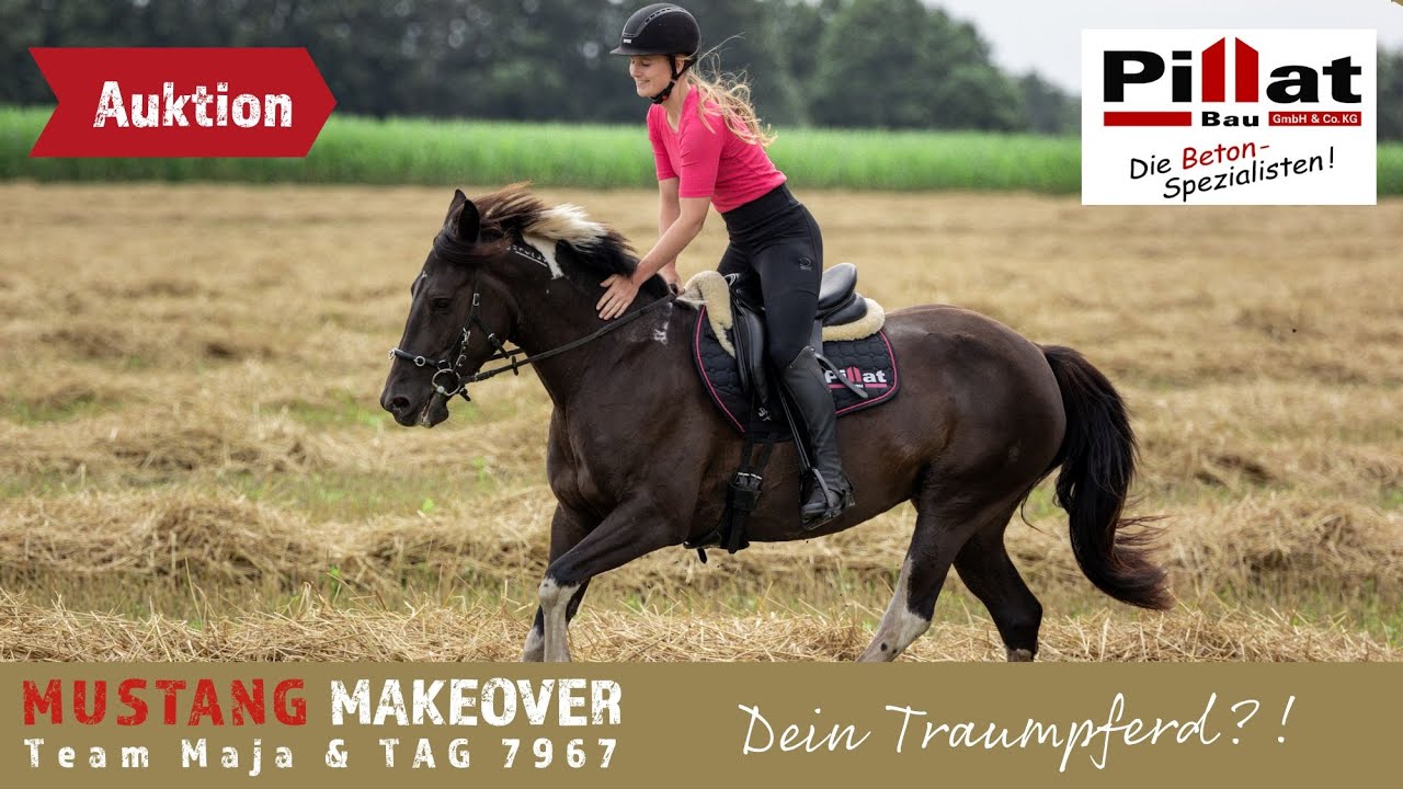 Unglaublich was Tatonka in 3 Monaten gelernt hat😱 - Team Maja | MUSTANG MAKEOVER 2024