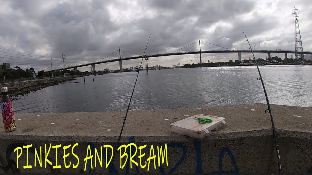 Fishing The Yarra River For Pinkies And Bream