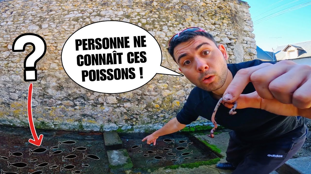 Le LAVOIR de ce VILLAGE abrite un poisson que PERSONNE NE CONNAÎT ! (ou presque)