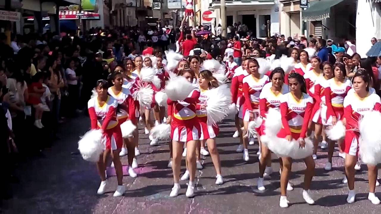 20/11/15 COBAEM La Piedad