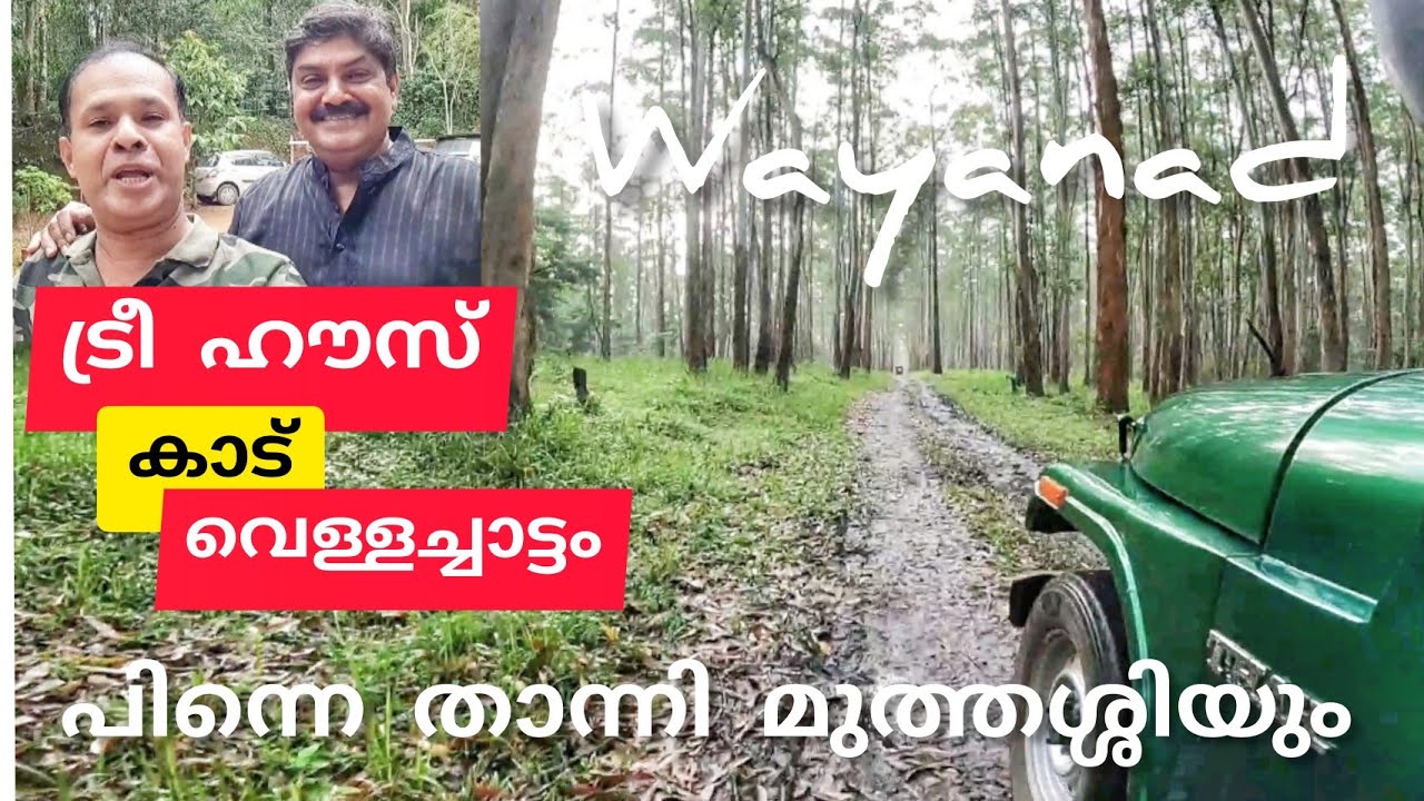ഈ ട്രീ ഹൗസിലെ താമസം എന്റെ കിളി പോയി / Changaathi Treehouse Wayanad