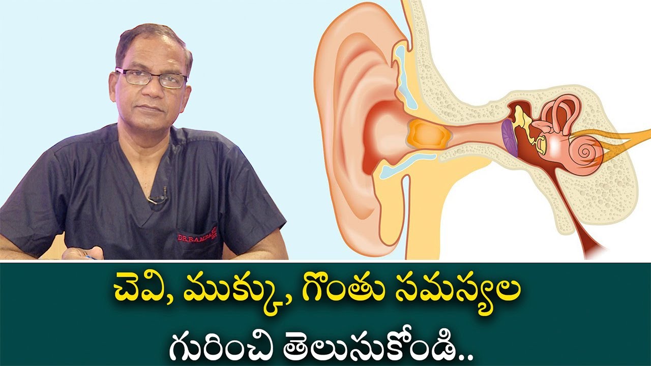 ENT Problems and solutions all details | చెవి, ముక్కు, గొంతు సమస్యల గురించి తెలుసుకోండి..