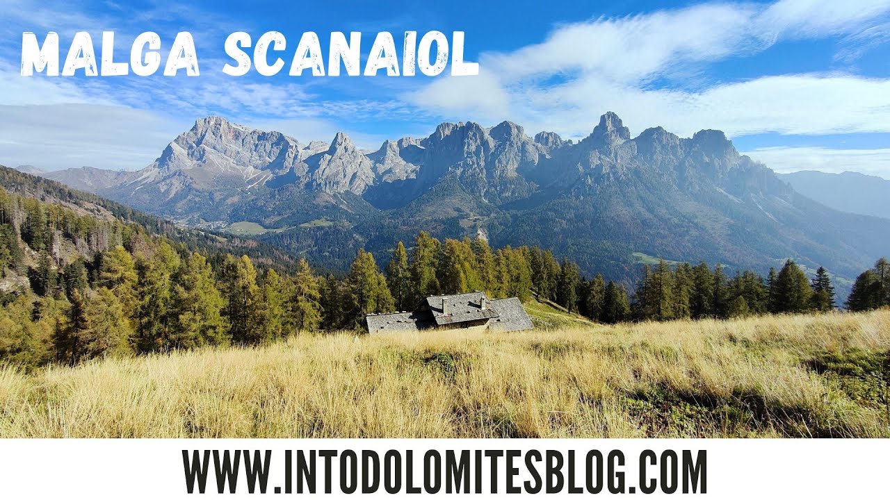 MALGA SCANAIOL - PANEVEGGIO