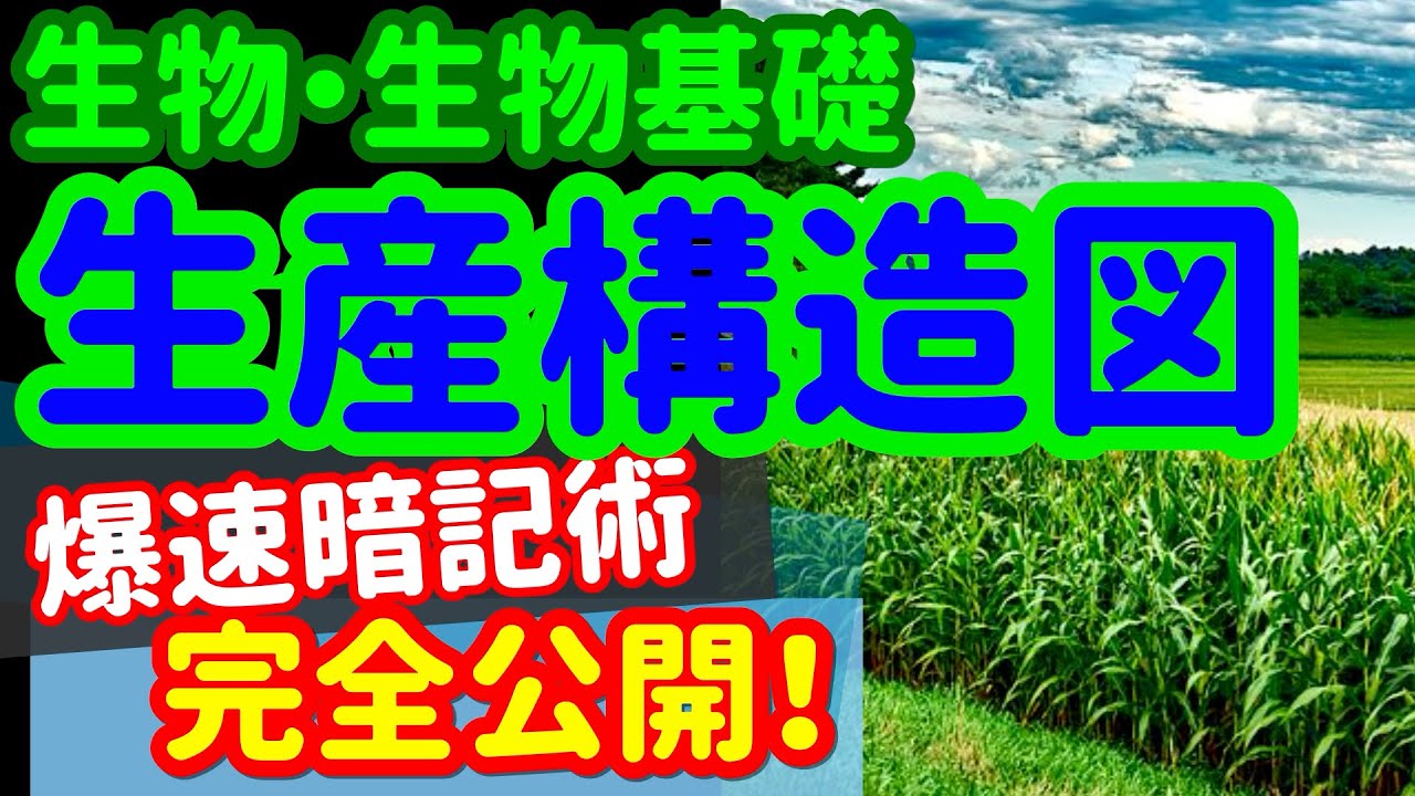 【生物基礎 52】【生産構造図と層別刈取法】を宇宙一わかりやすく