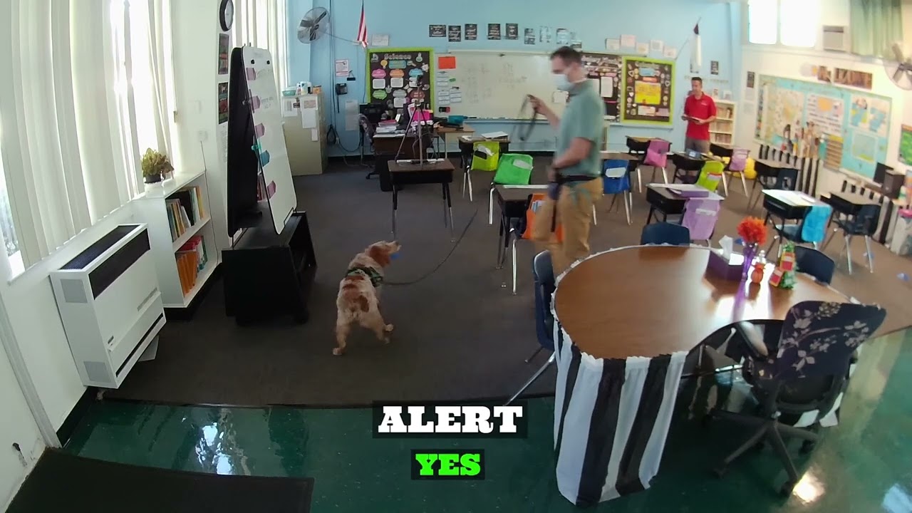 AKC Interior Master Iona 10 20 23