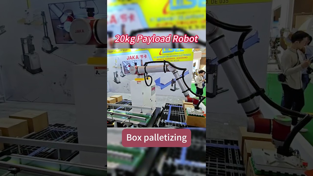 JAKA Zu20 - robotic palletizer in action #robot #innovation#palletizingrobot