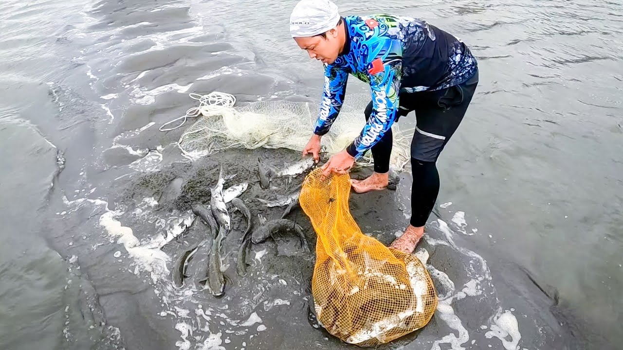 Jala Ikan Belanak Di Pulau Pasir Hasilnya Sangat Melimpah