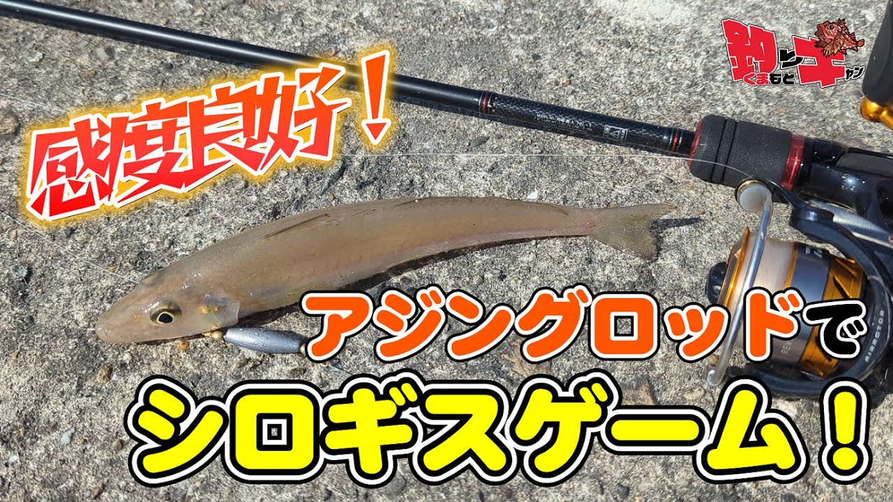 【キス釣り】アタリがビンビン伝わるアジングロッドでキス釣りをやってみたら楽しすぎた！