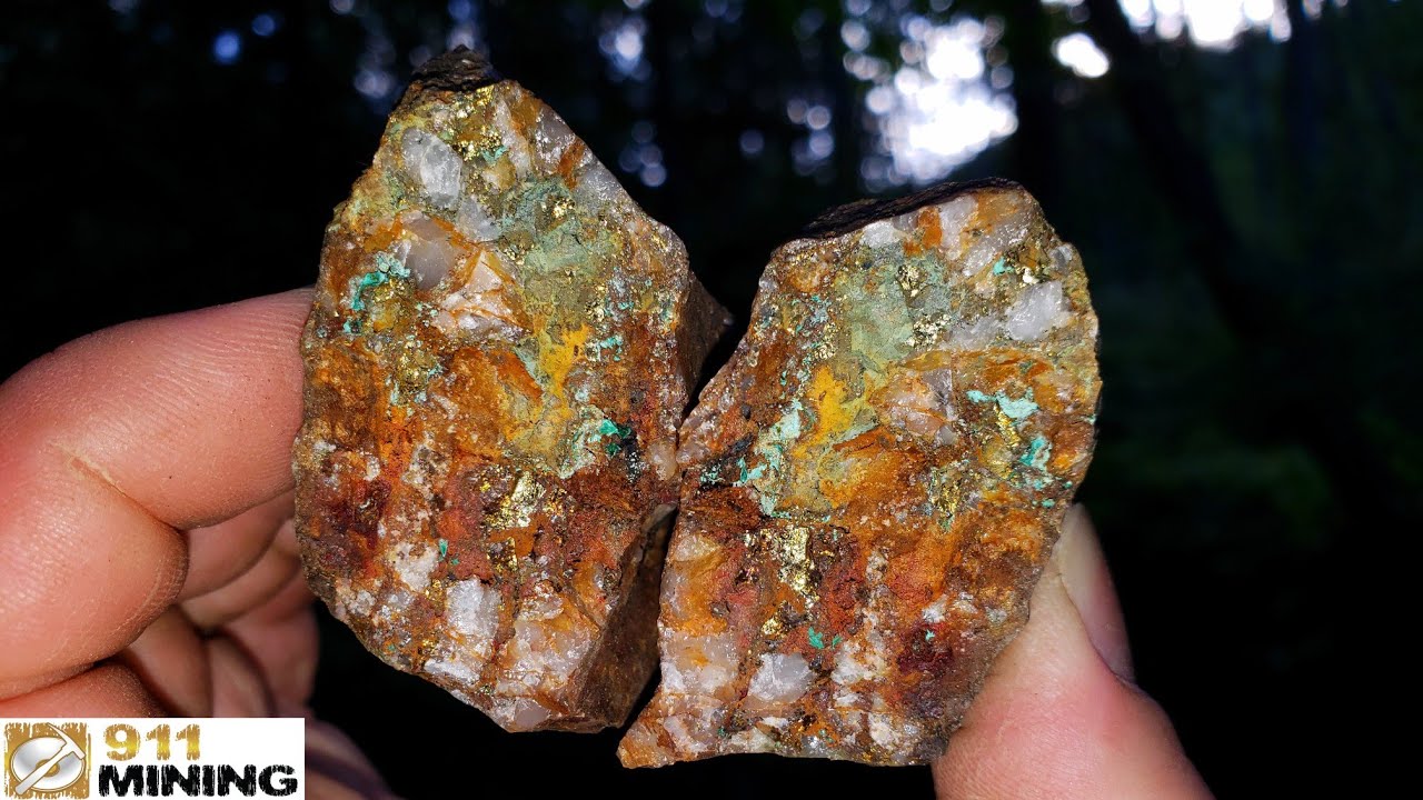Gold & Silver Quartz Vein In Old Mine Shaft!