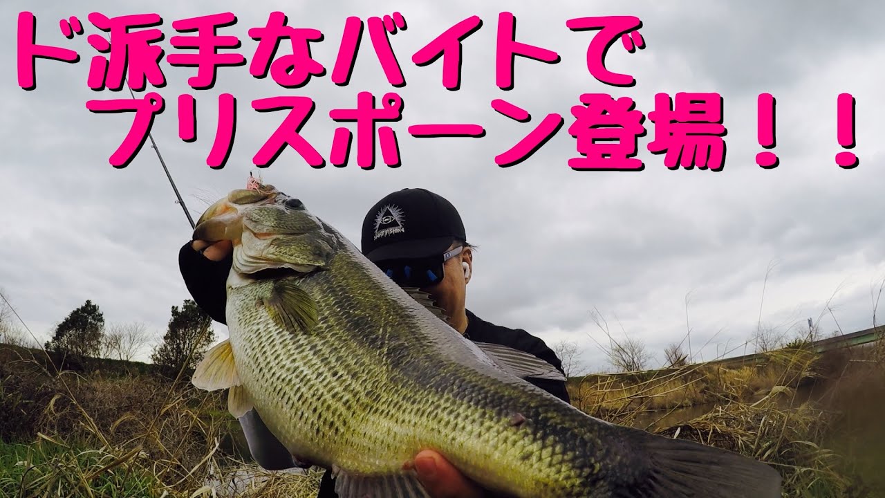 早春プリスポーン‼︎