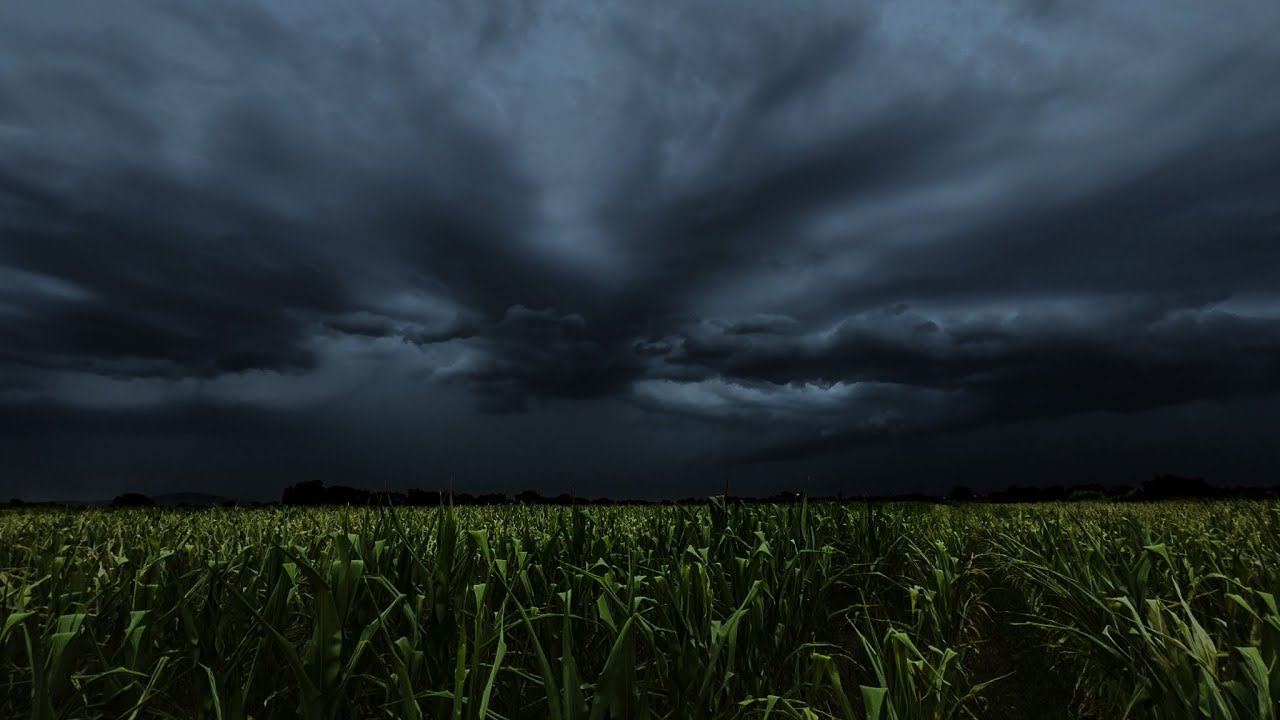 Wild Thunderstorm Rolling in Over a Cornfield | Calm Before the Storm | 3 HOURS