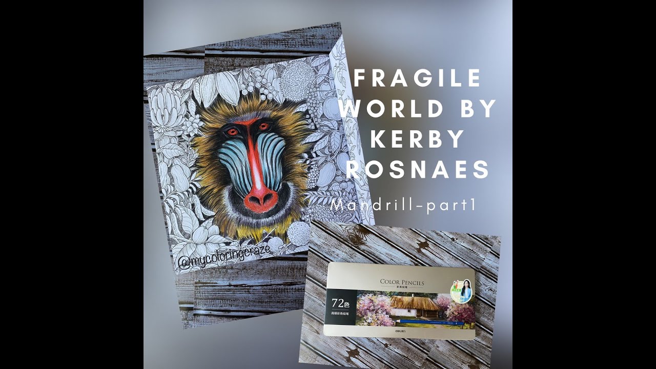 COLORING WITH BUDGET(STARYJOY/DELI) COLORED PENCILS|FRAGILE WORLD|KERBY ROSANES
