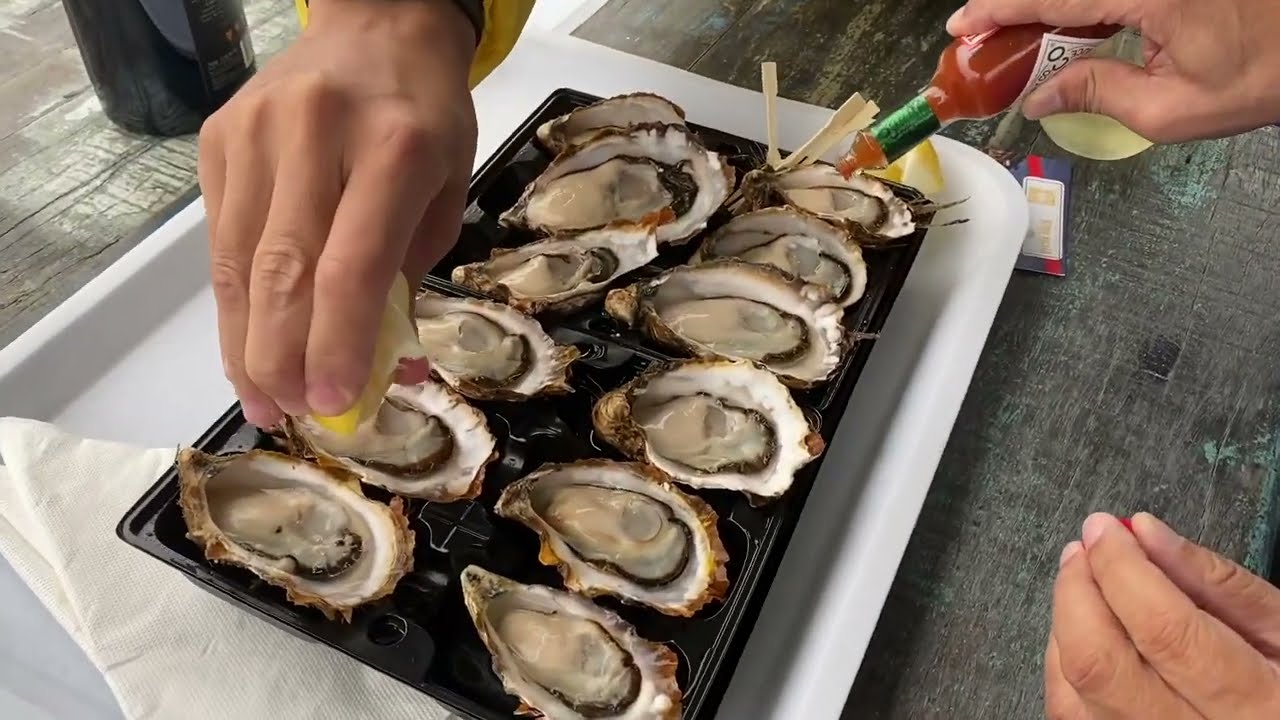Melshell Oyster Shack: A Coastal Culinary Gem in Tasmania