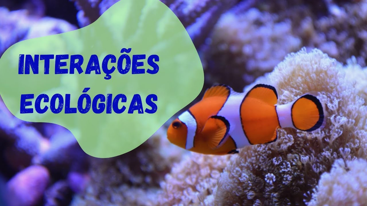 INTERAÇÕES ECOLÓGICAS: introdução, classificação e tipos