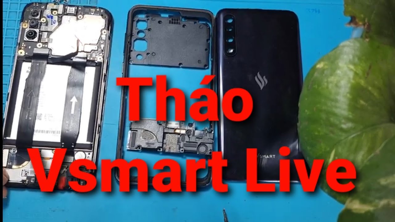 Cách tháo vsmart live | How to remove vsmart live