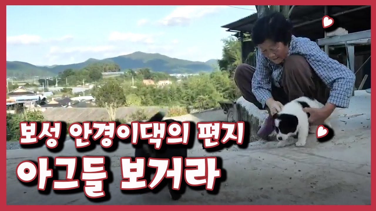 [남도지오그래피] 아그들 보거라, 보성 안경이댁의 편지｜KBS 211020 방송