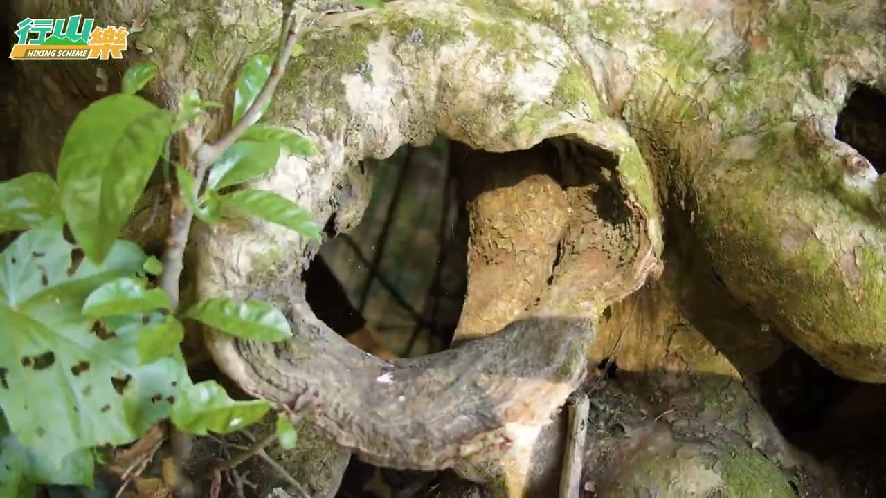 C1 東北環走訪烏荔